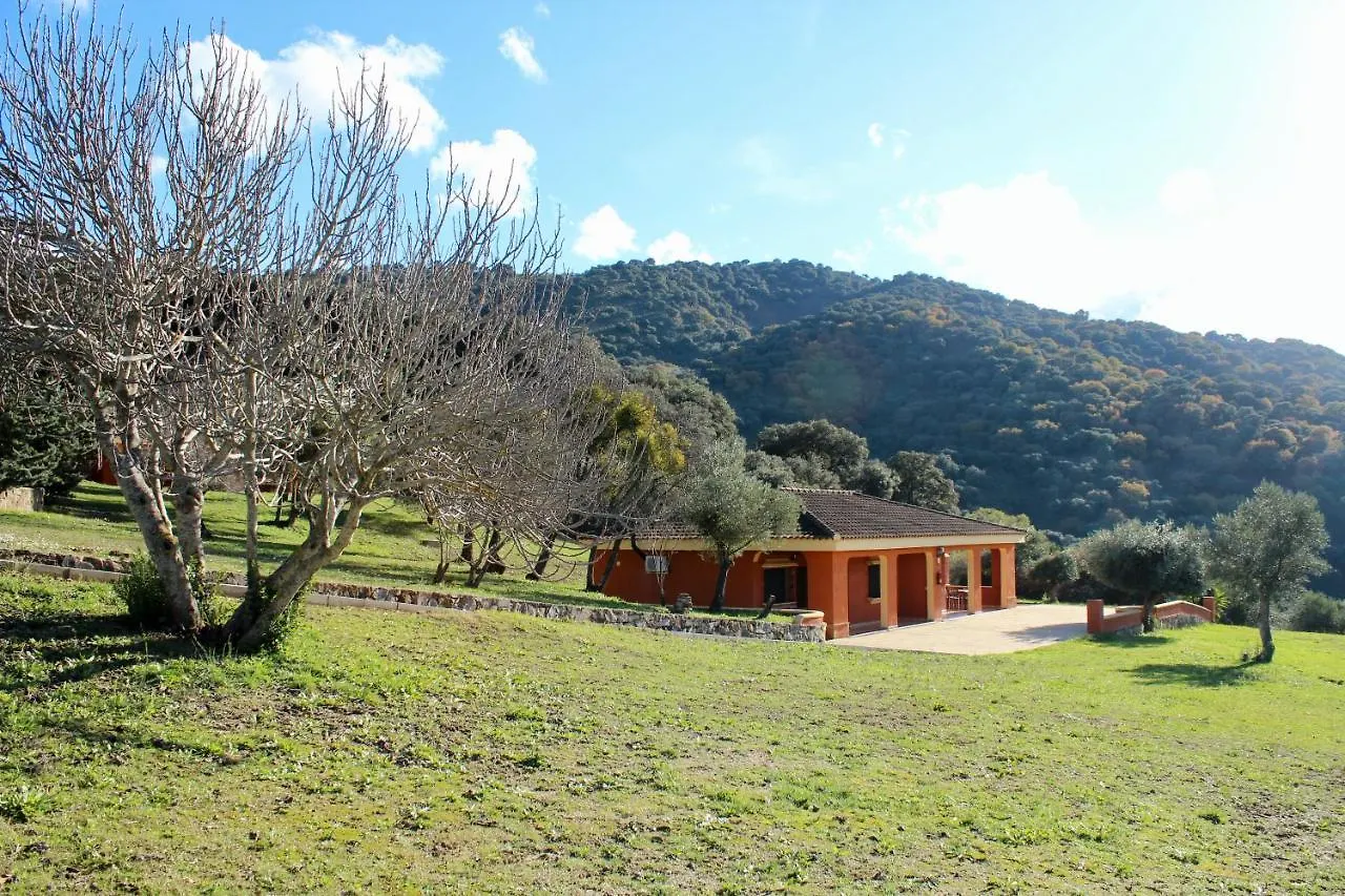 Apartamentos Cedro Alto Benaoján